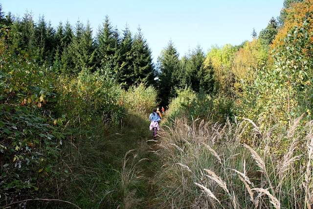 img00072.jpg