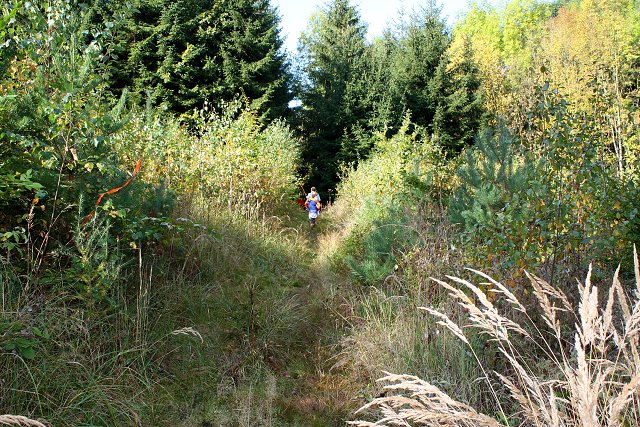 img00073.jpg