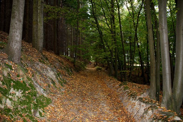 img00075.jpg