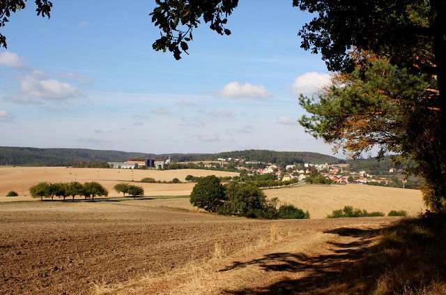 img00093.jpg