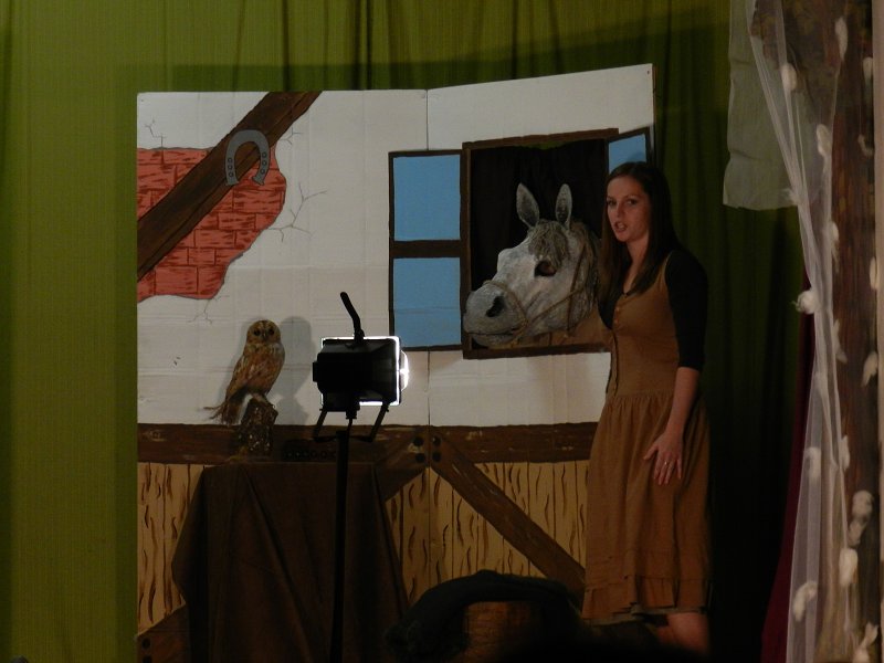 img00009.jpg