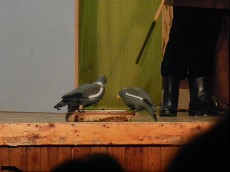 img00010.jpg