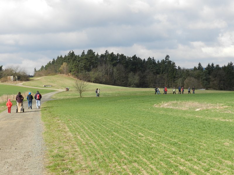 img00005.jpg