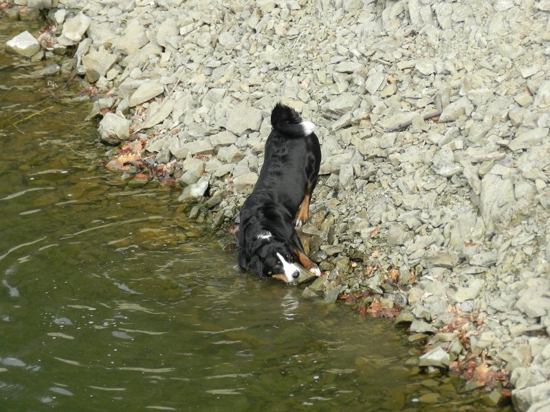 img00014.jpg