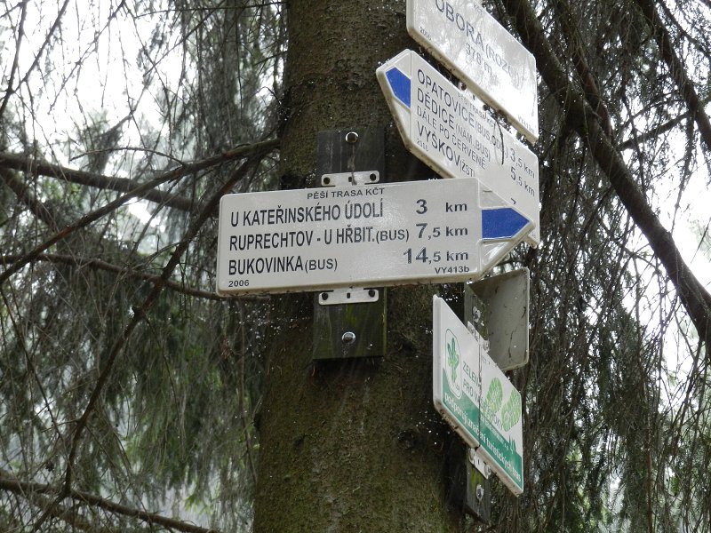 img00022.jpg