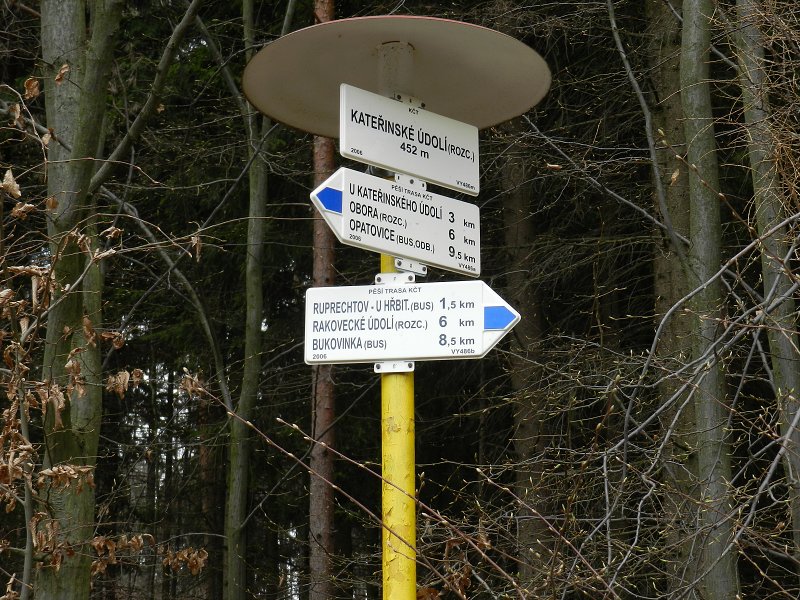 img00042.jpg