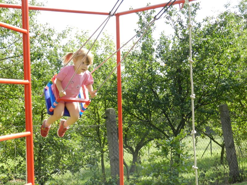 img00036.jpg