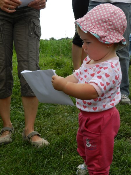img00050.jpg