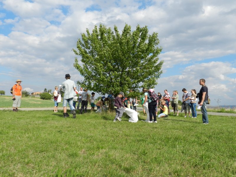 img00065.jpg