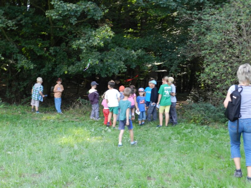 img00071.jpg