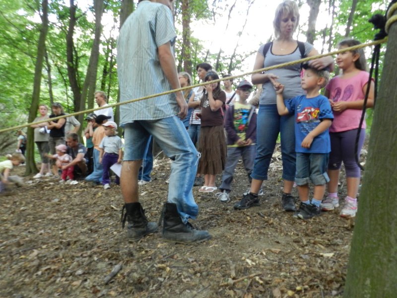 img00081.jpg