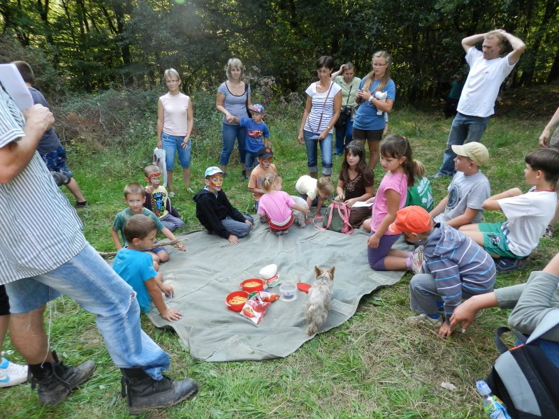img00087.jpg