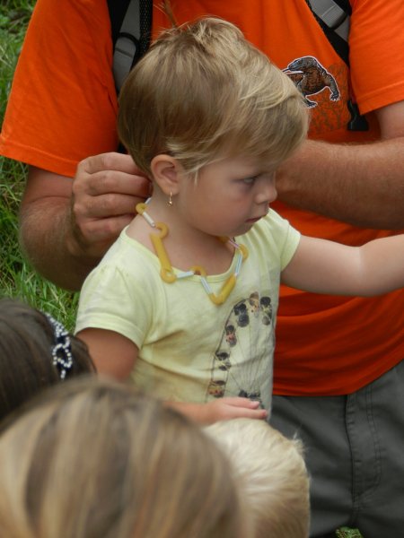 img00091.jpg