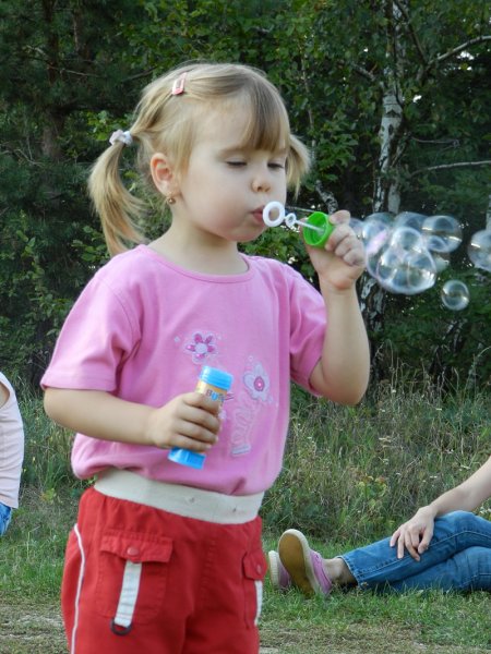 img00108.jpg