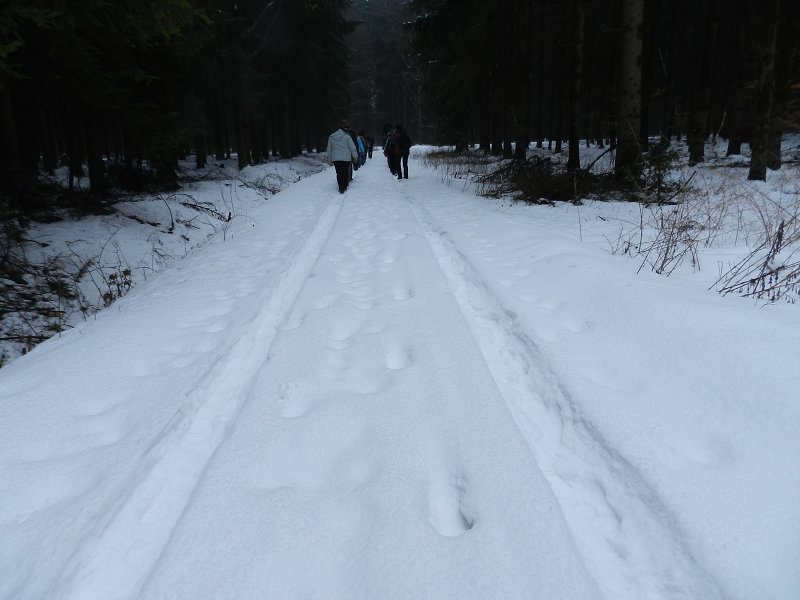 img00011.jpg