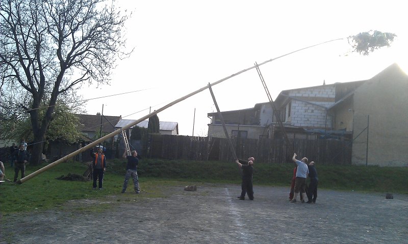 img00009.jpg