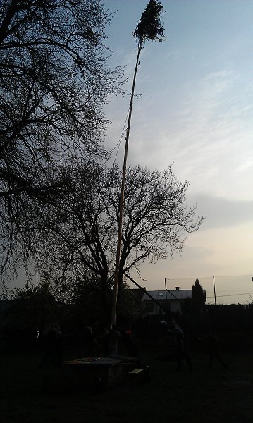img00012.jpg