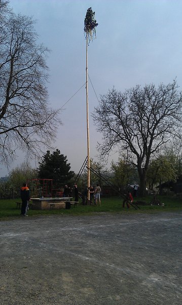 img00013.jpg