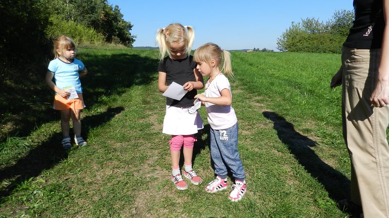 img00105.jpg