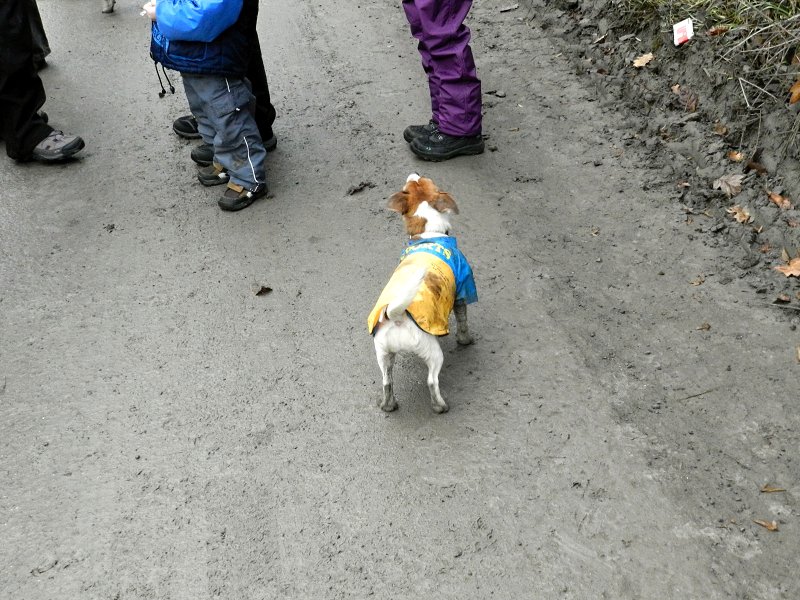 img00008.jpg