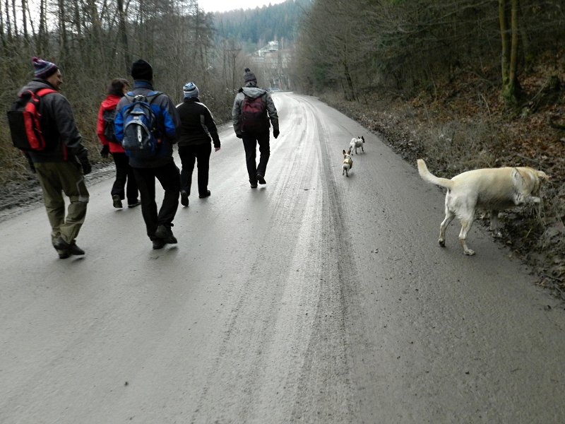 img00010.jpg