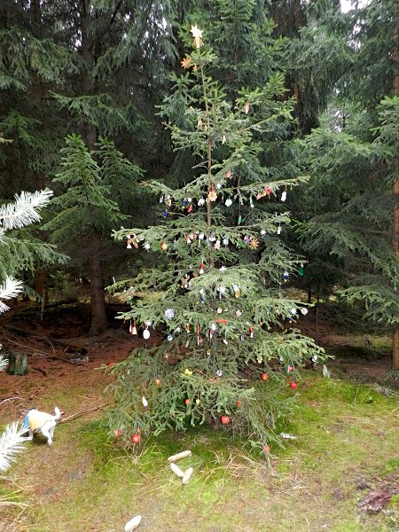 img00029.jpg