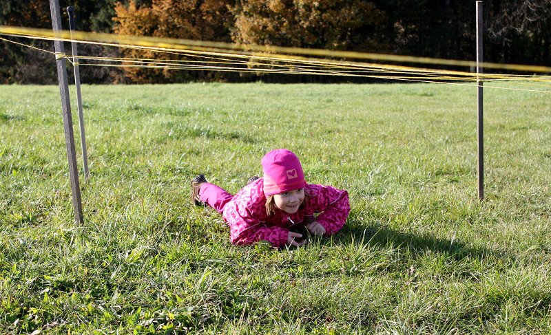 img00064.jpg