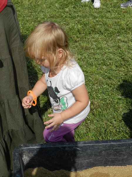img00025.jpg