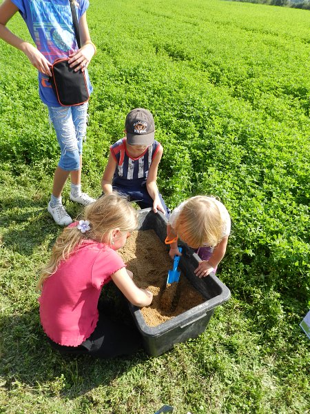 img00030.jpg