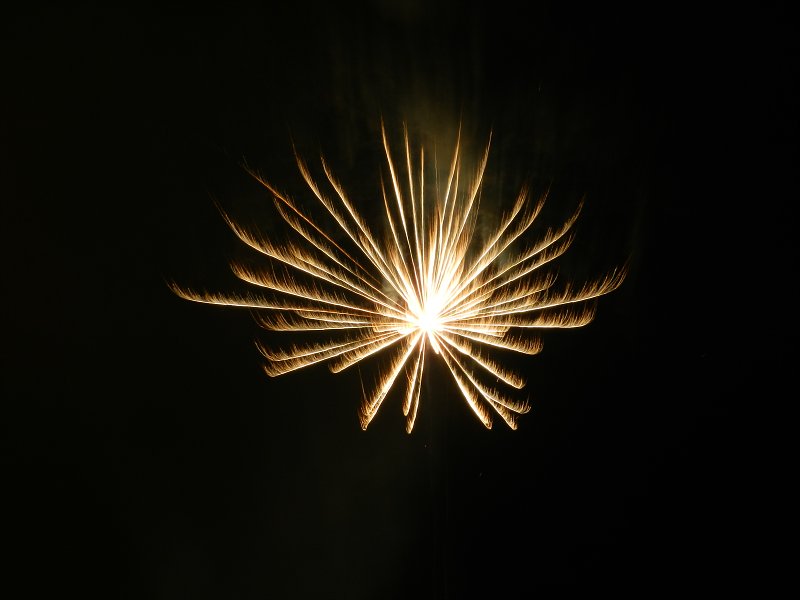 img00016.jpg