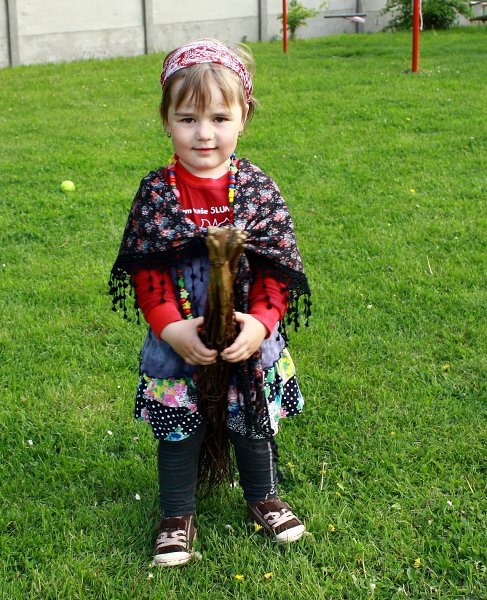 img00009.jpg