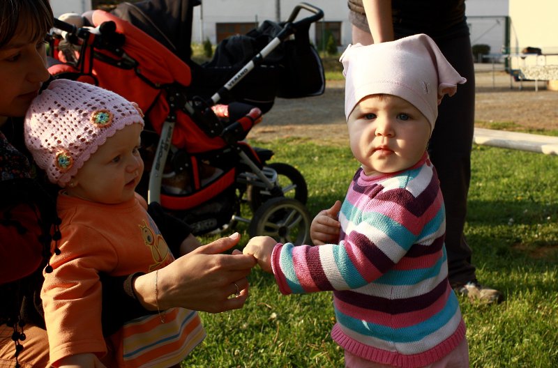 img00019.jpg