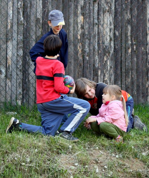 img00026.jpg