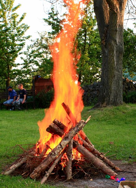 img00089.jpg