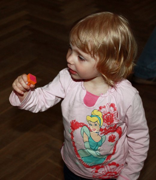 img00113.jpg