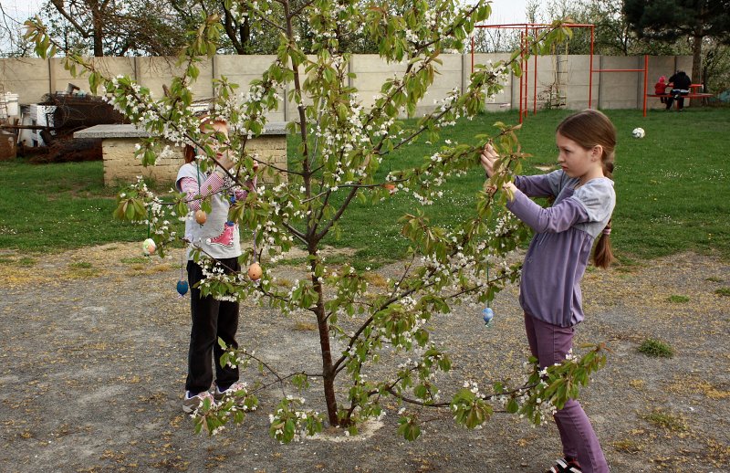 img00123.jpg