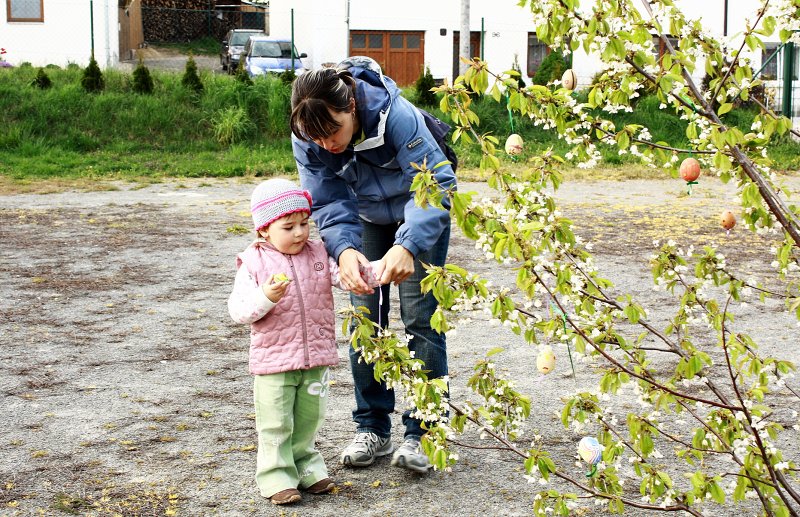 img00125.jpg