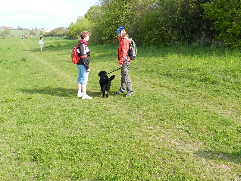 img00003.jpg