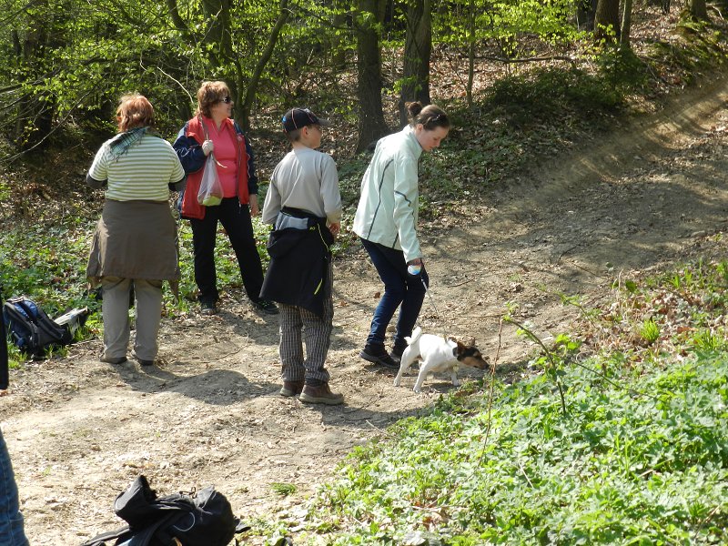 img00013.jpg