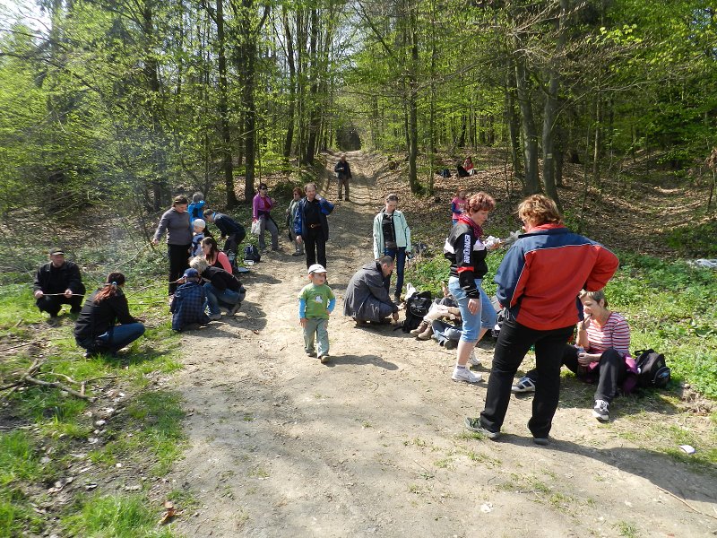 img00019.jpg