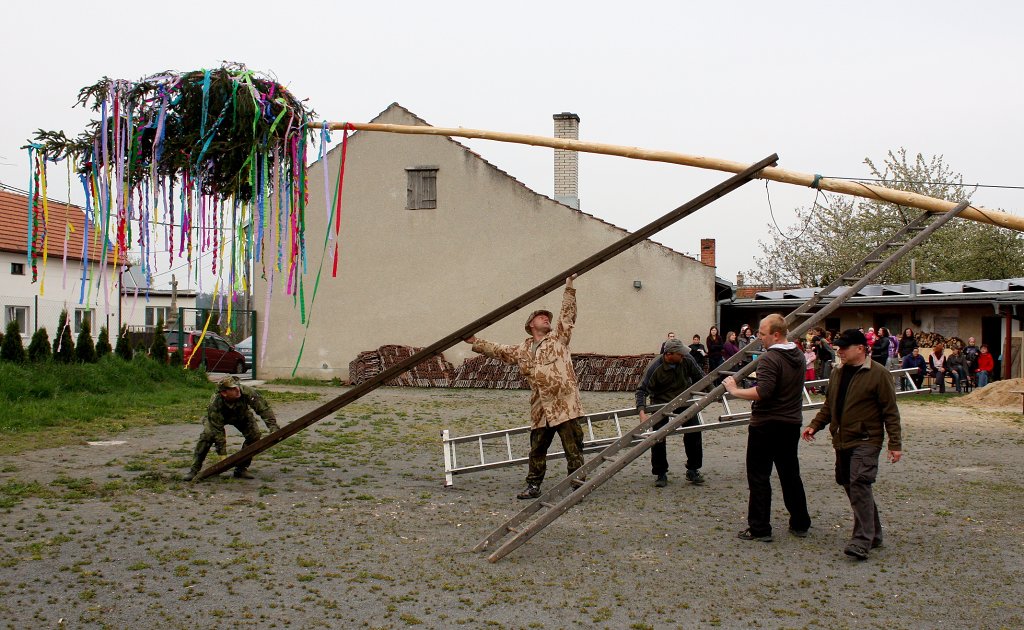 img00054.jpg