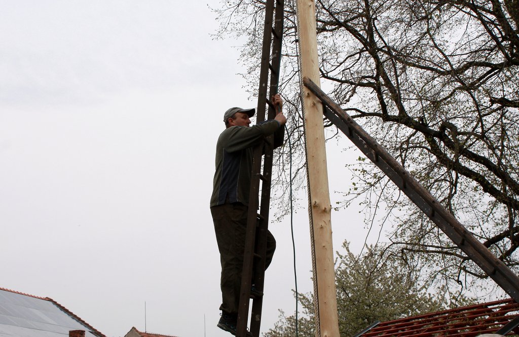 img00099.jpg