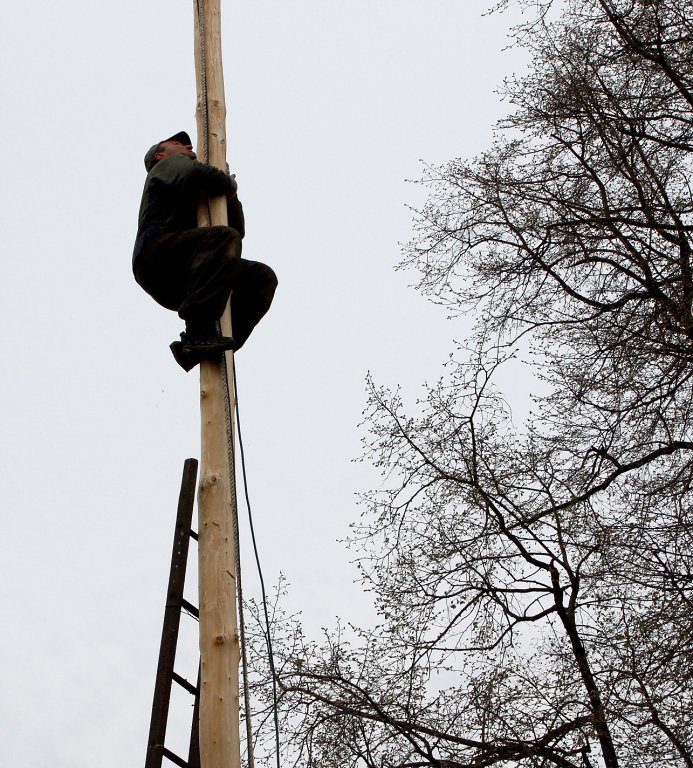 img00100.jpg