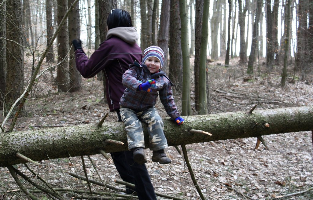 img00043.jpg
