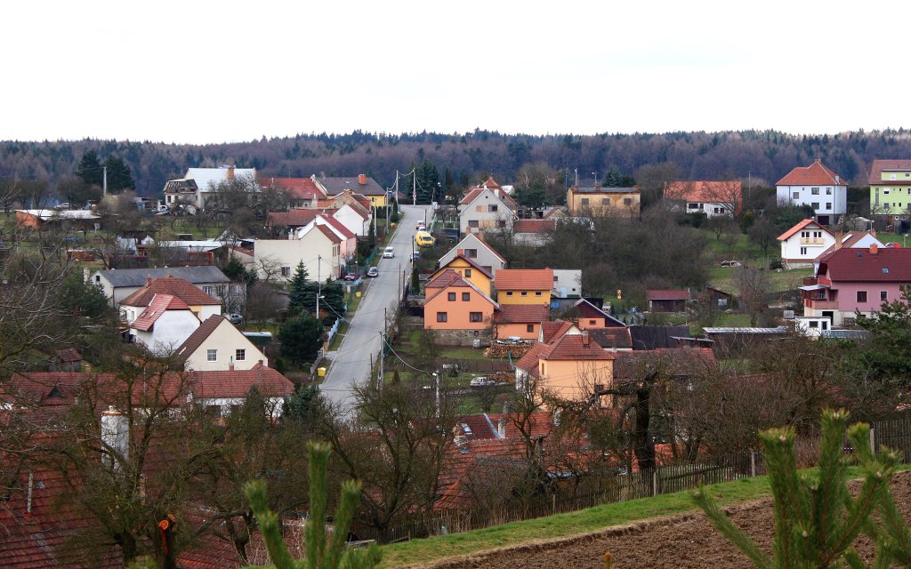 img00066.jpg