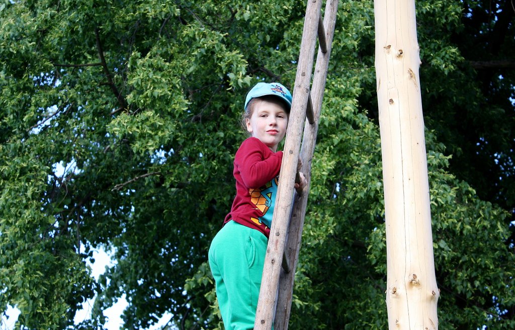 img00007.jpg
