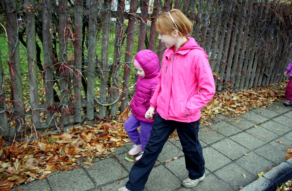 img00004.jpg
