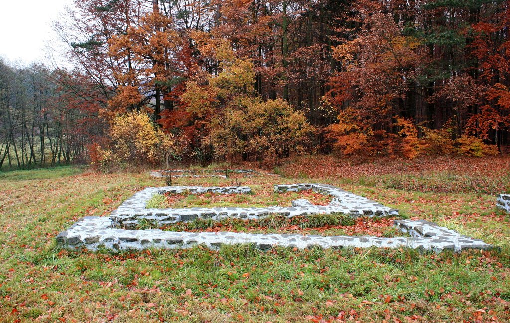 img00042.jpg