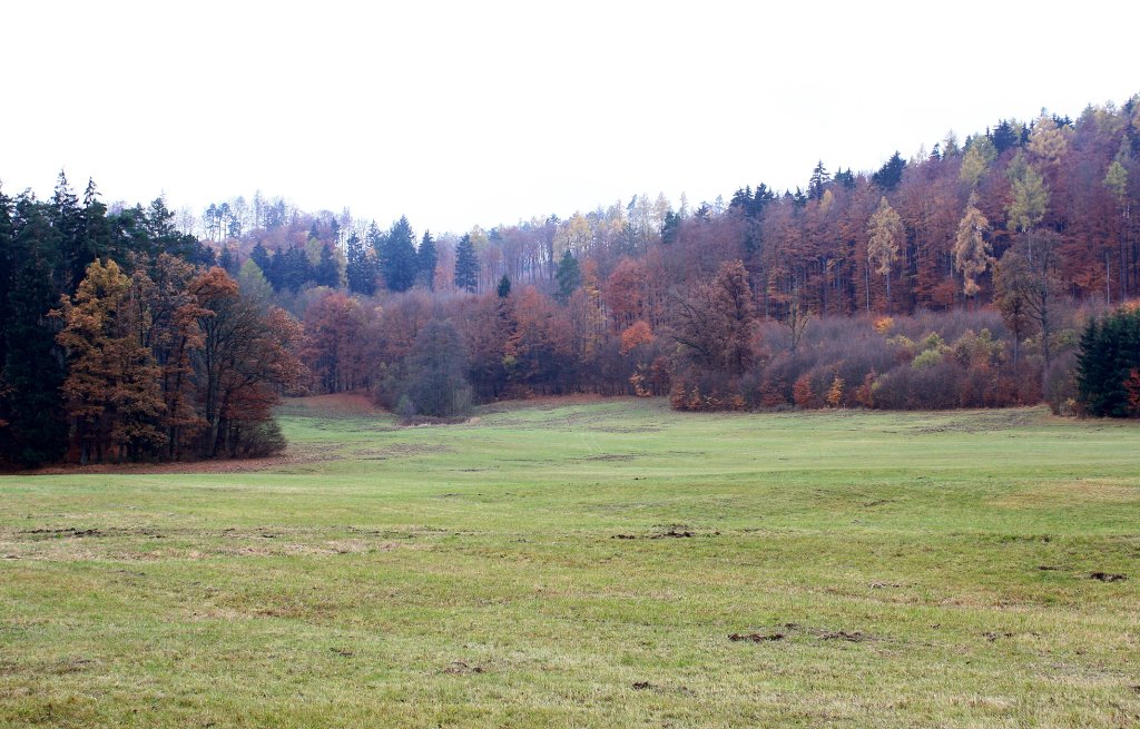 img00049.jpg