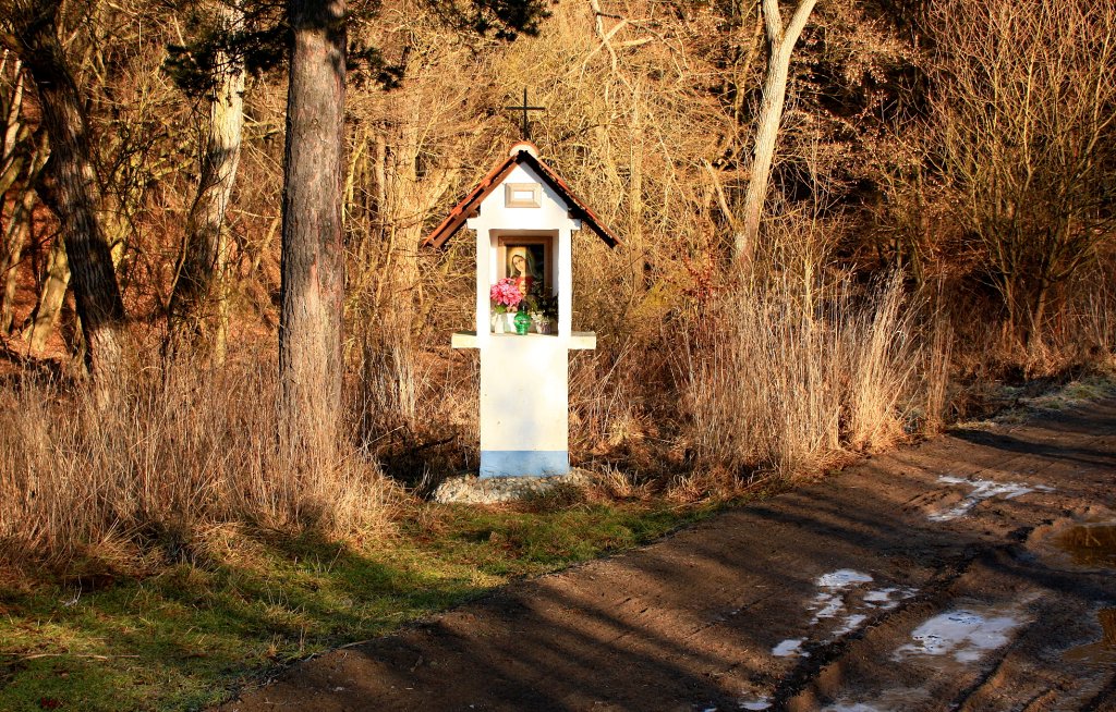 img00026.jpg